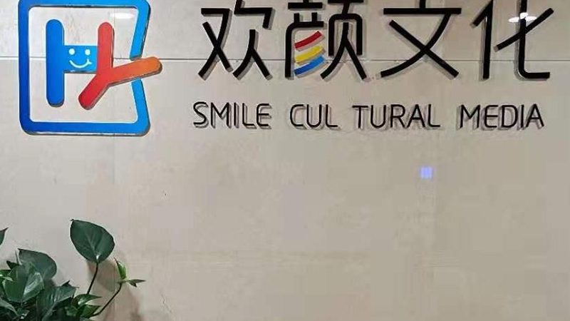 VI手册尺寸印刷报价全解析：尺寸标准与印刷成本揭秘